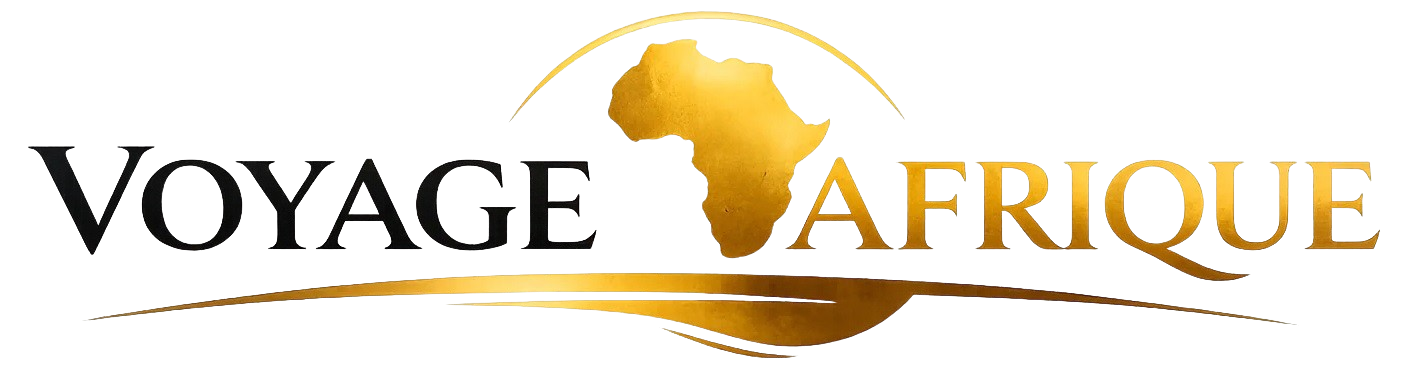 Logo Voyage-Afrique
