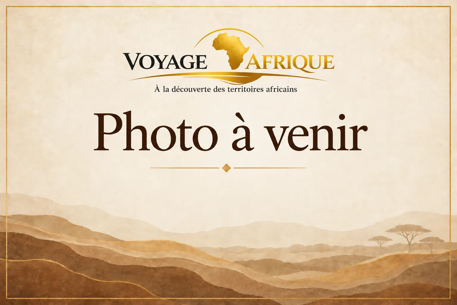 Photo à venir
